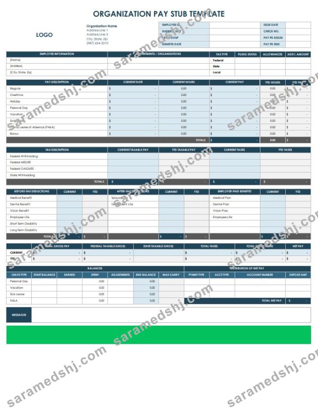 Organization Pay Stub Template